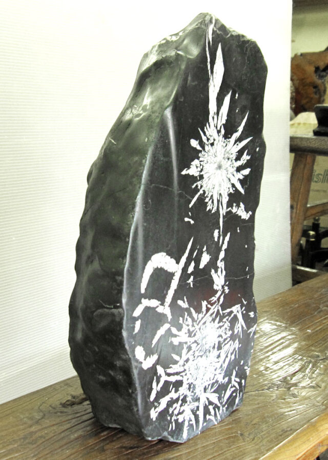 菊花石（きっかせき）の販売なら増樹です。